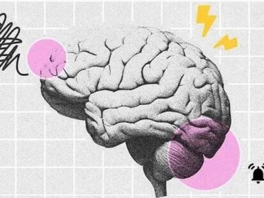 Nature Machine Intelligence｜不只是「像大脑」，人脑信号还能直接引导语言模型进行鲁棒推理