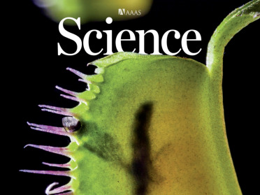Science封面：捕蝇草不靠泵也不靠肌肉，给软体机器人提供了一种新驱动方式