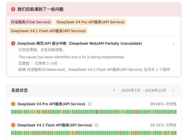 宕机数小时，DeepSeek给补钱了！
