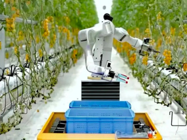 具身智能最硬的一笔ROI账单，先出现在果园里？